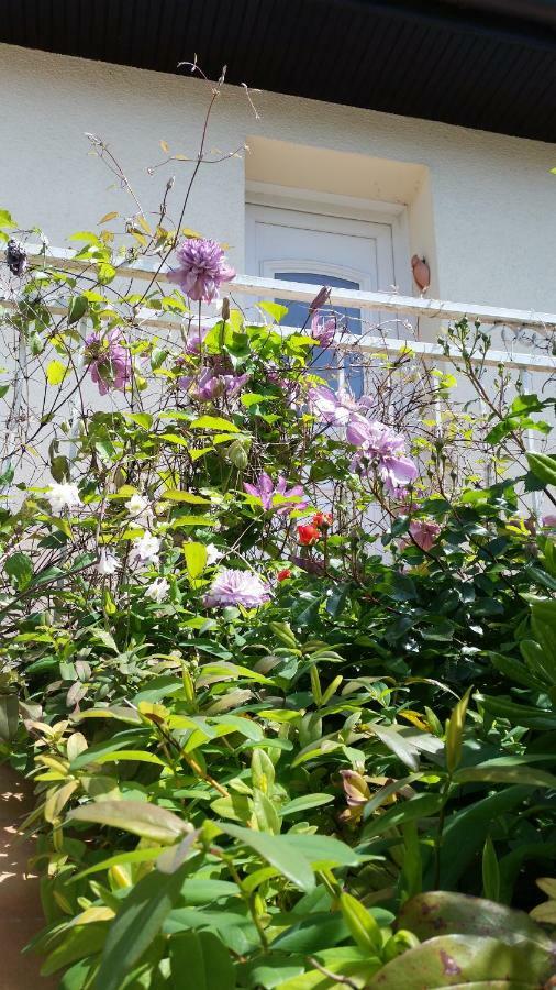 Chambre Avec Jardin Pierre Curie Bry-sur-Marne Εξωτερικό φωτογραφία