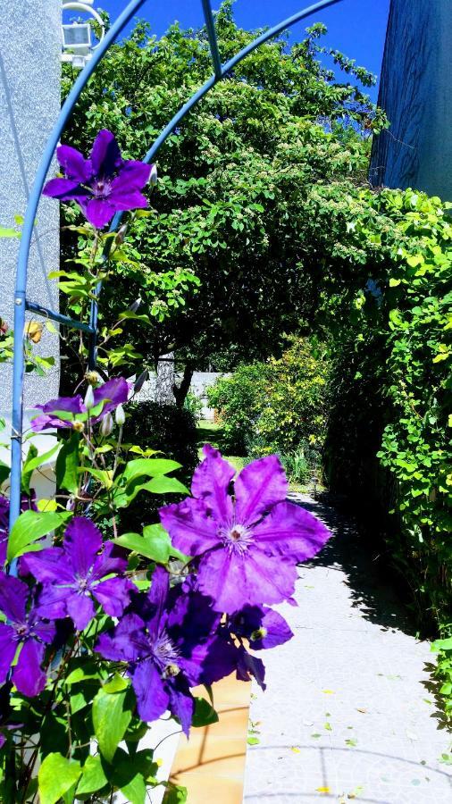 Chambre Avec Jardin Pierre Curie Bry-sur-Marne Εξωτερικό φωτογραφία